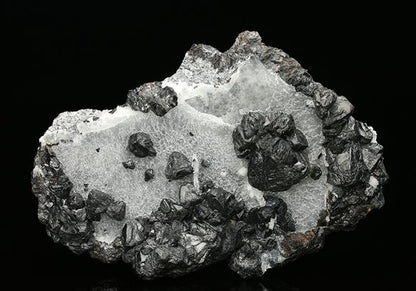 CC7514 specimen image