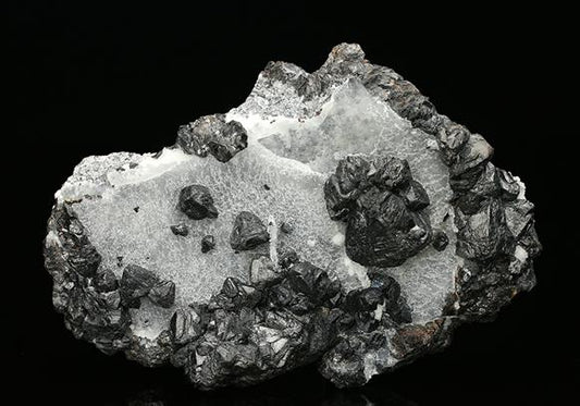 CC7514 specimen image