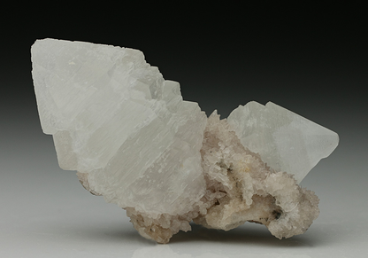 CC7515 specimen image