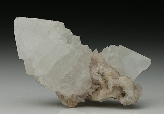 CC7515 specimen image