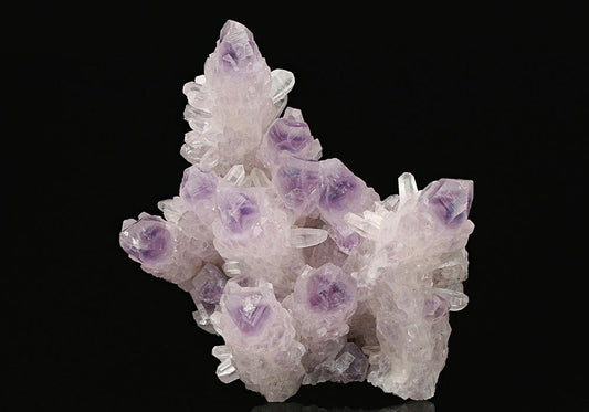 CC7518 specimen image