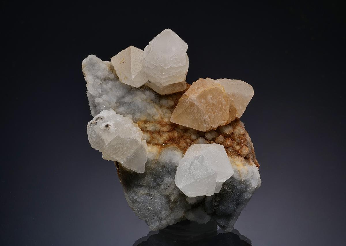 CC7522 specimen image