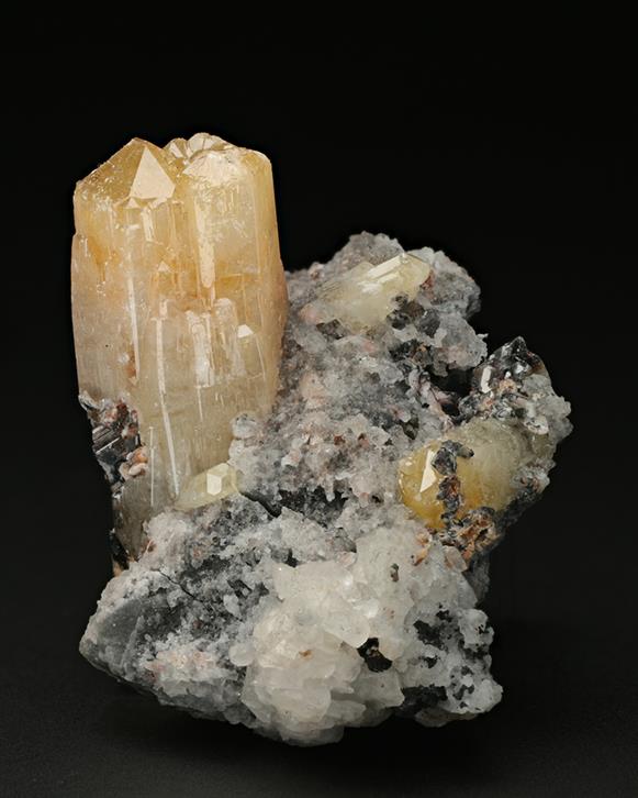 CC7524 specimen image