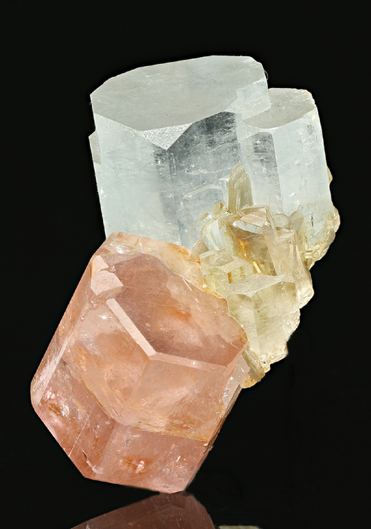 CC7530 specimen image