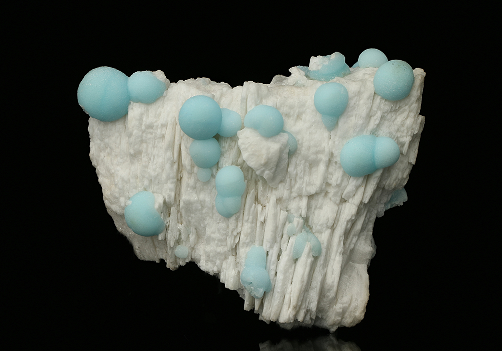 CC7533 specimen image