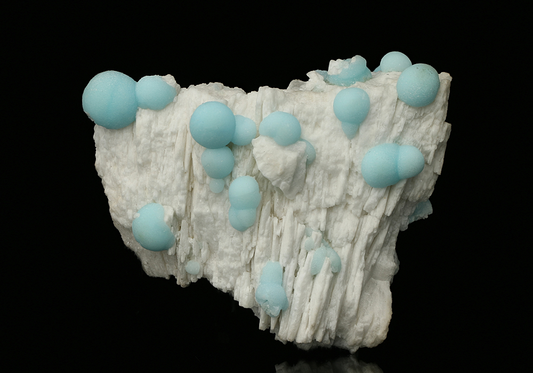 CC7533 specimen image