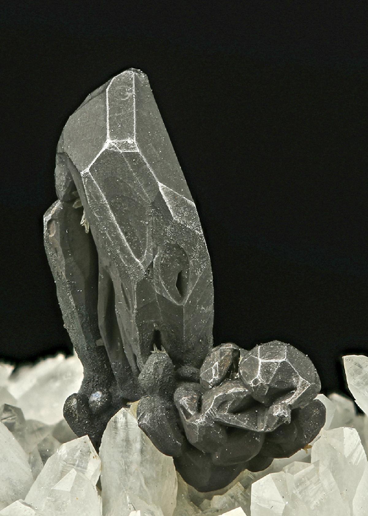 CC7535 specimen image