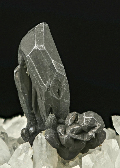 CC7535 specimen image