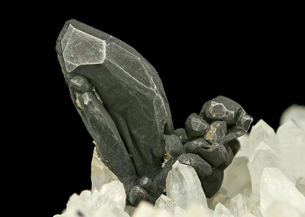 CC7535 specimen image