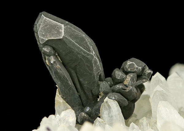 CC7535 specimen image