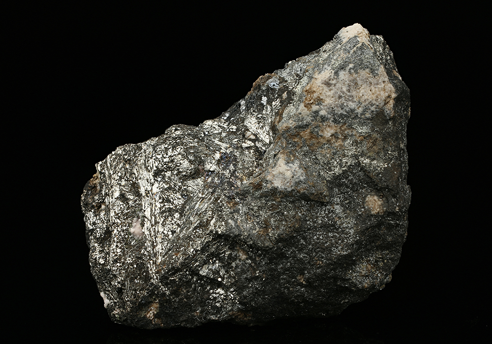 CC7539 specimen image