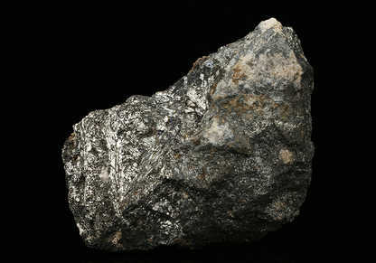 CC7539 specimen image