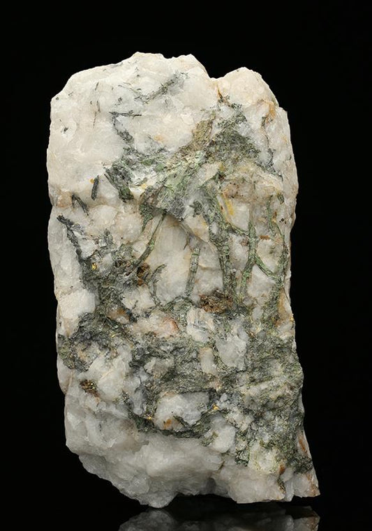 CC7540 specimen image