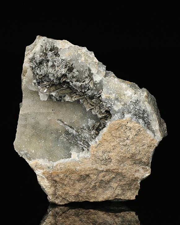 CC7543 specimen image