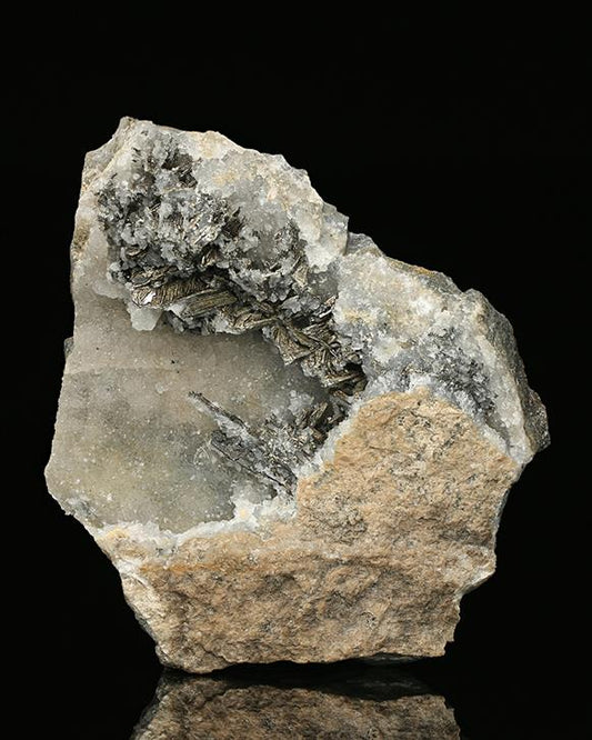 CC7543 specimen image