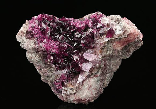 CC7552 specimen image
