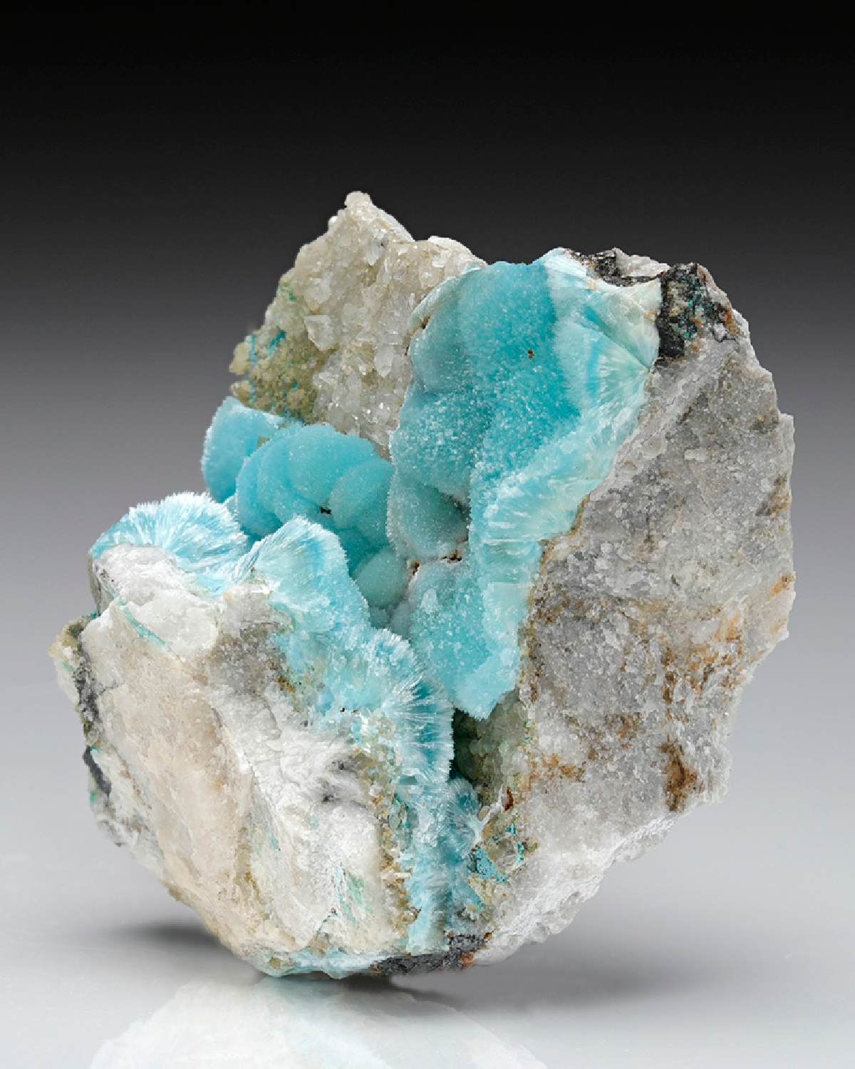 CC7559 specimen image