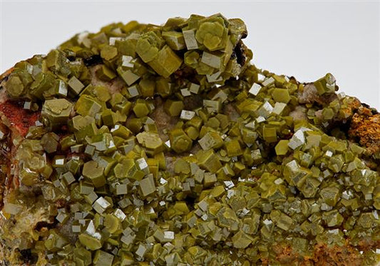 CC7563 specimen image