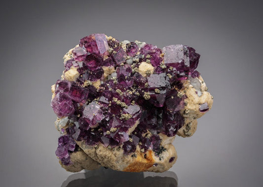 CC7566 specimen image
