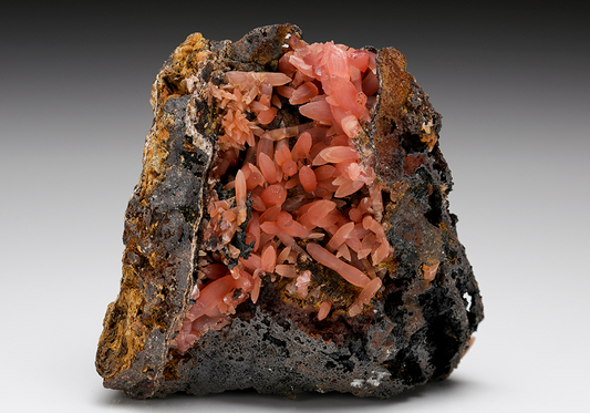 CC7582 specimen image