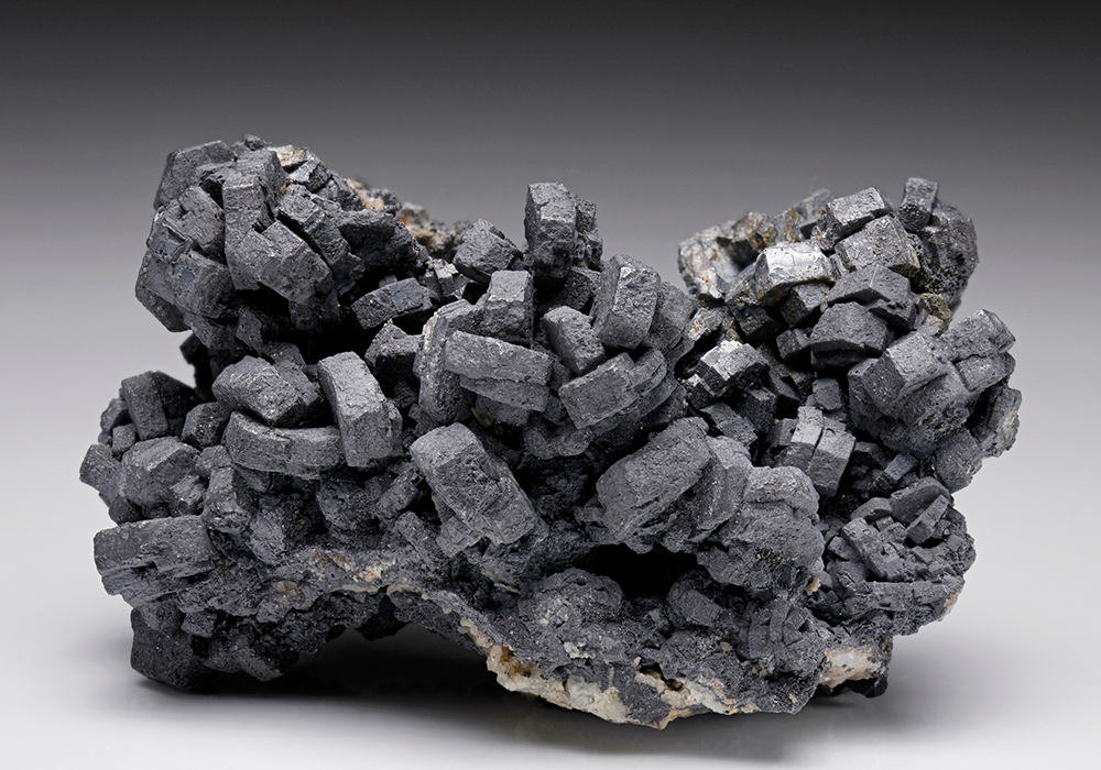 CC7583 specimen image