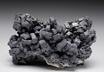CC7583 specimen image