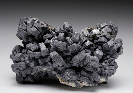 CC7583 specimen image