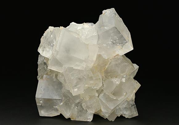 CC7588 specimen image
