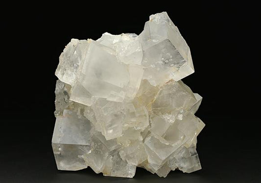 CC7588 specimen image