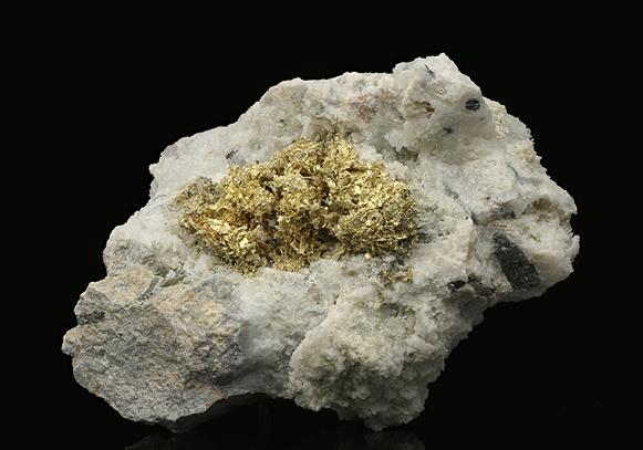 CC7593 specimen image