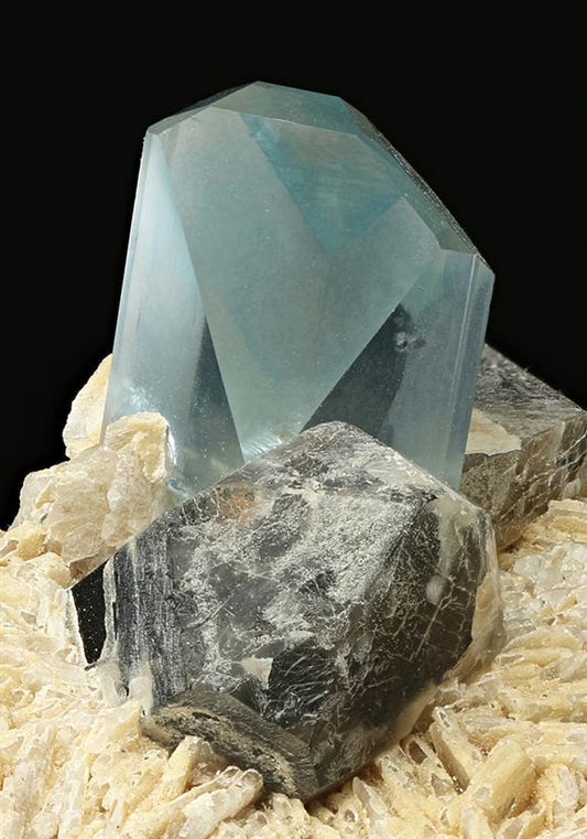 CC7594 specimen image
