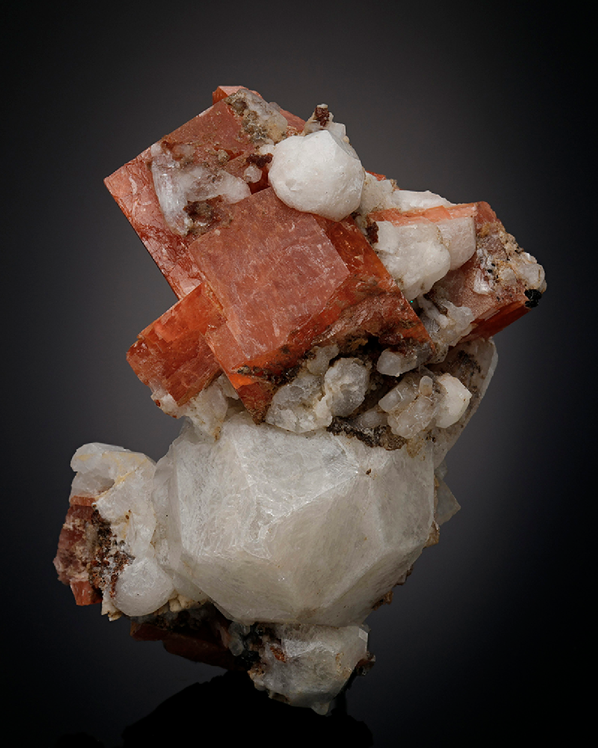 CC7598 specimen image