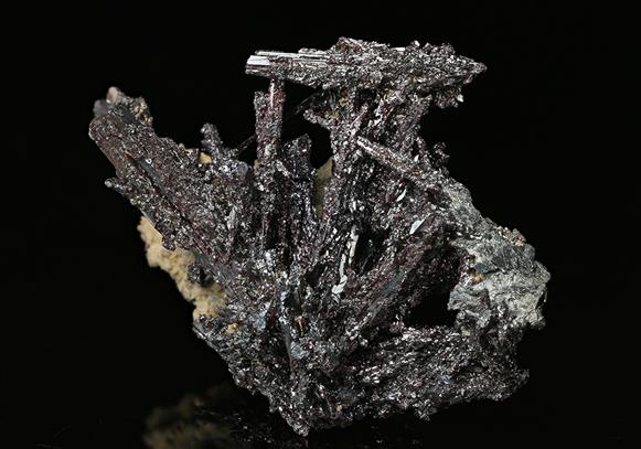 CC7600 specimen image