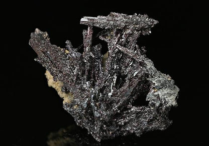CC7600 specimen image