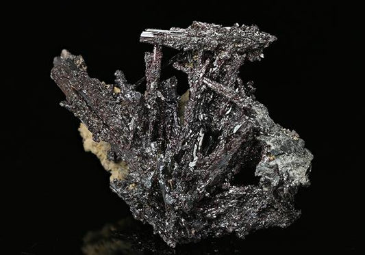 CC7600 specimen image