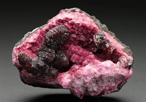 CC7608 specimen image