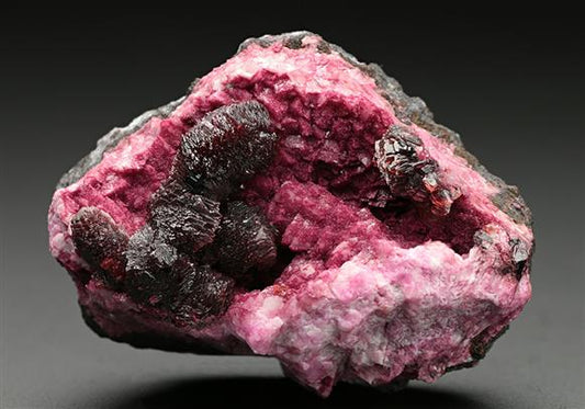 CC7608 specimen image
