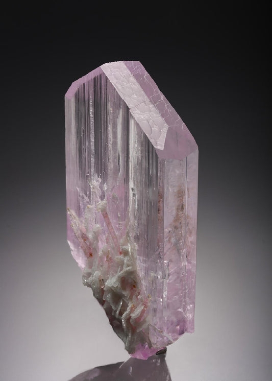 CC7611 specimen image