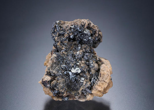 CC7613 specimen image