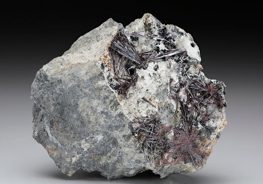 CC7614 specimen image
