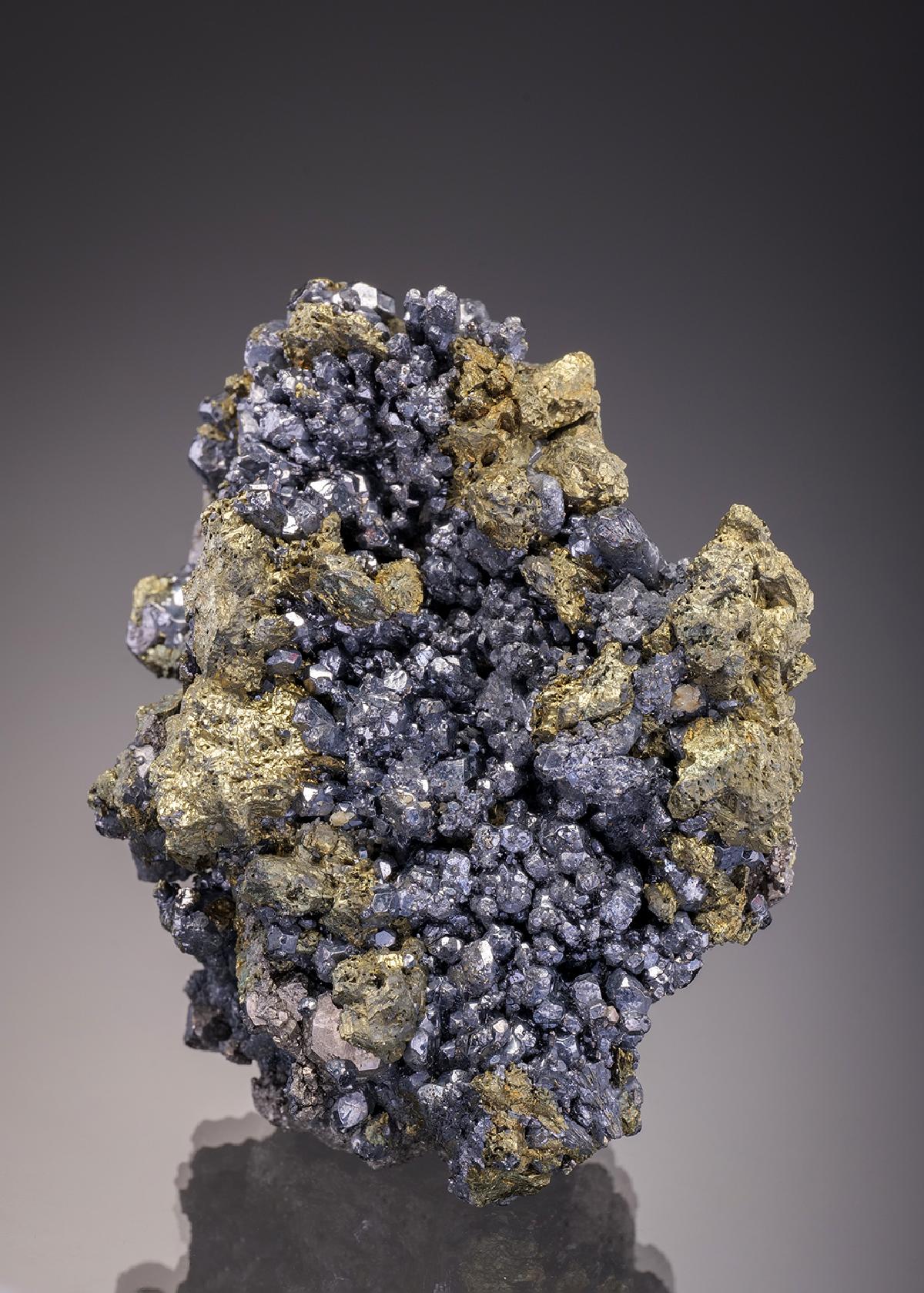 CC7616 specimen image