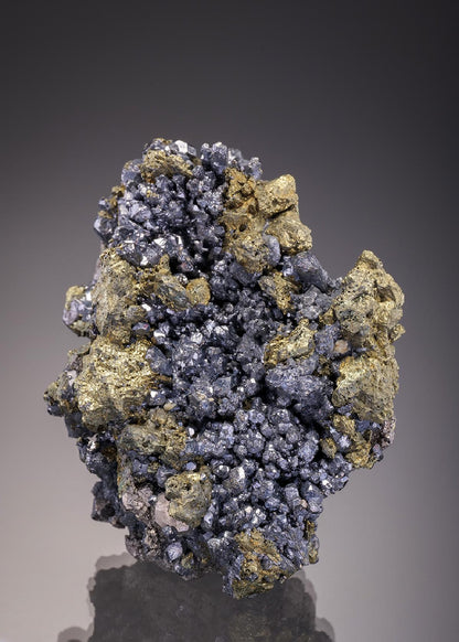 CC7616 specimen image