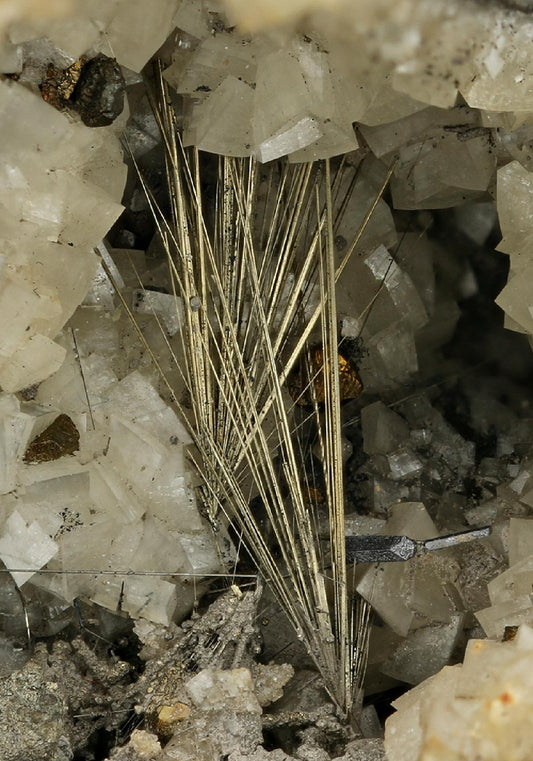 CC7620 specimen image