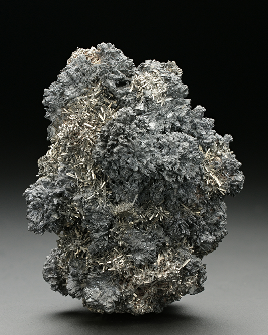 CC7626 specimen image