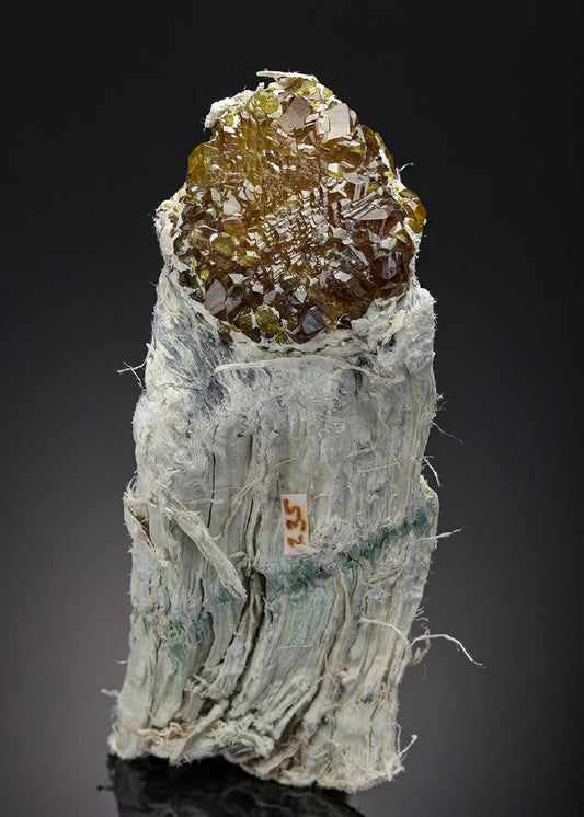 CC7652 specimen image