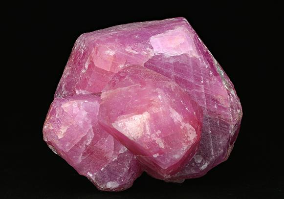 CC7659 specimen image