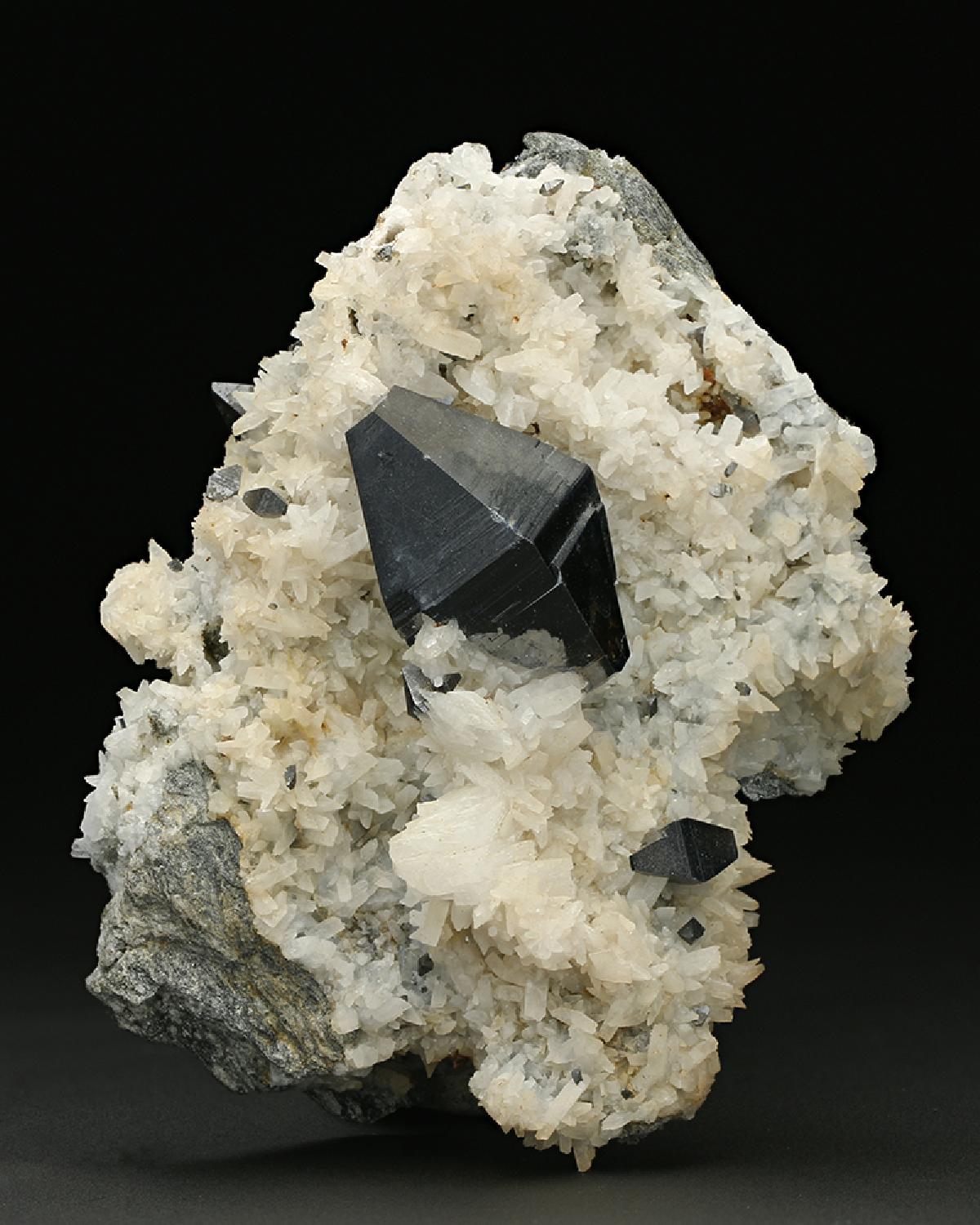 CC7664 specimen image