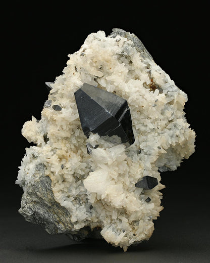 CC7664 specimen image