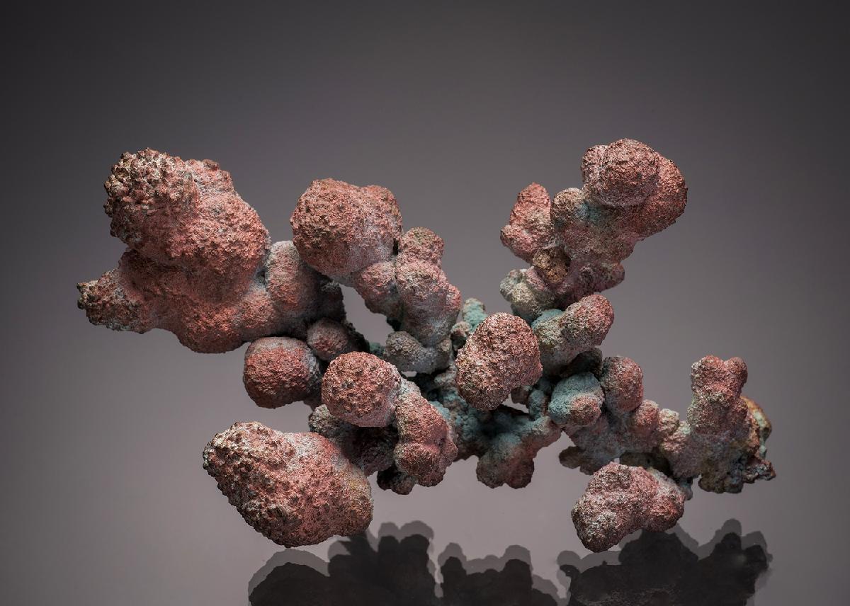 CC7669 specimen image