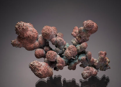 CC7669 specimen image